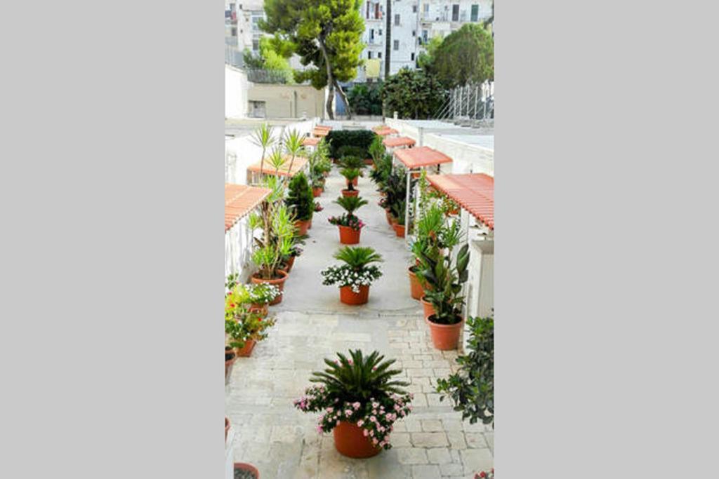 Ferienwohnung Al Cortile Bari Exterior foto